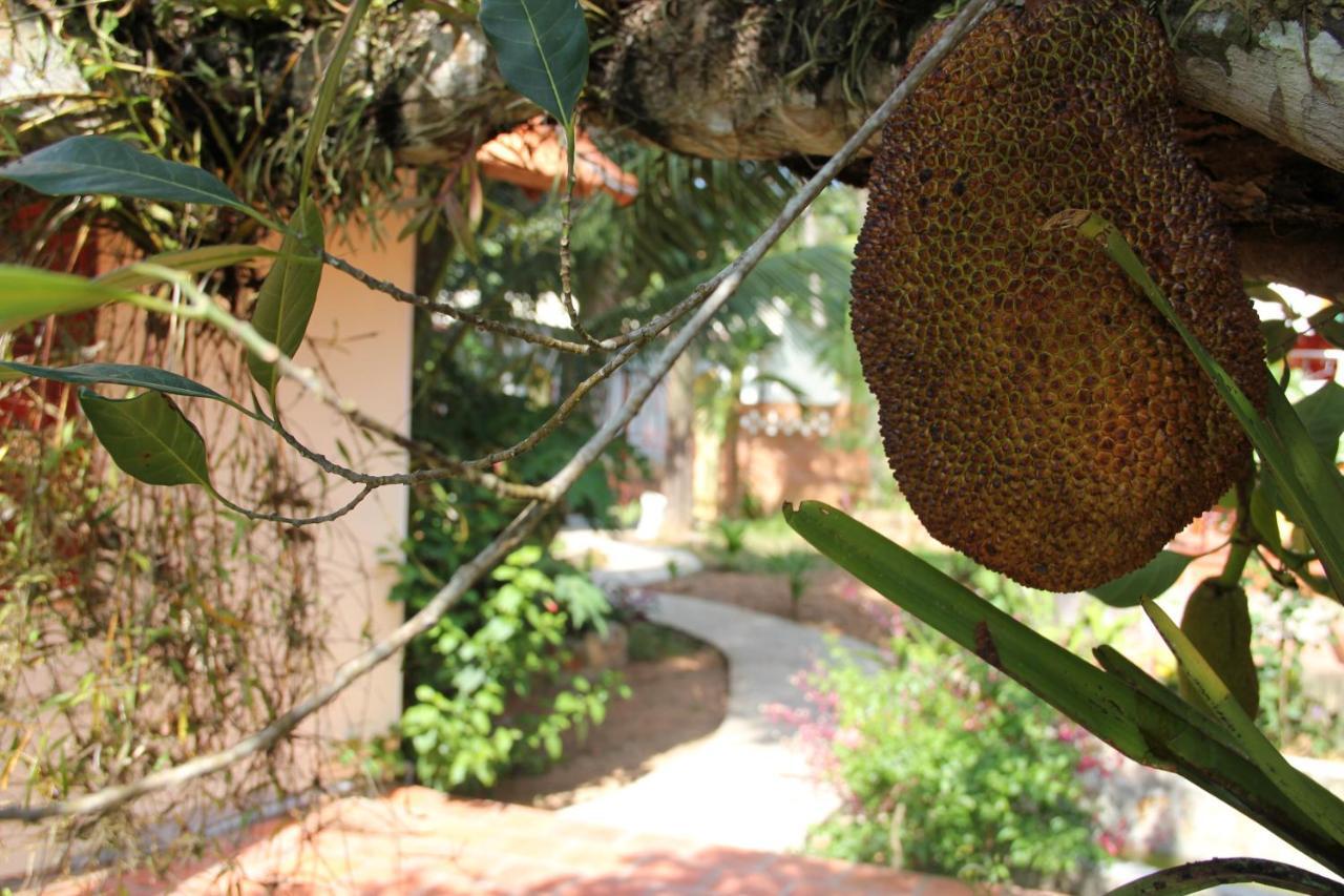 The Venue Otel Phu Quoc Dış mekan fotoğraf